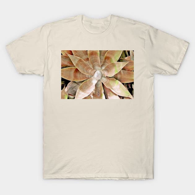 Agave Plant T-Shirt by Look Good Feel Good T Shirts